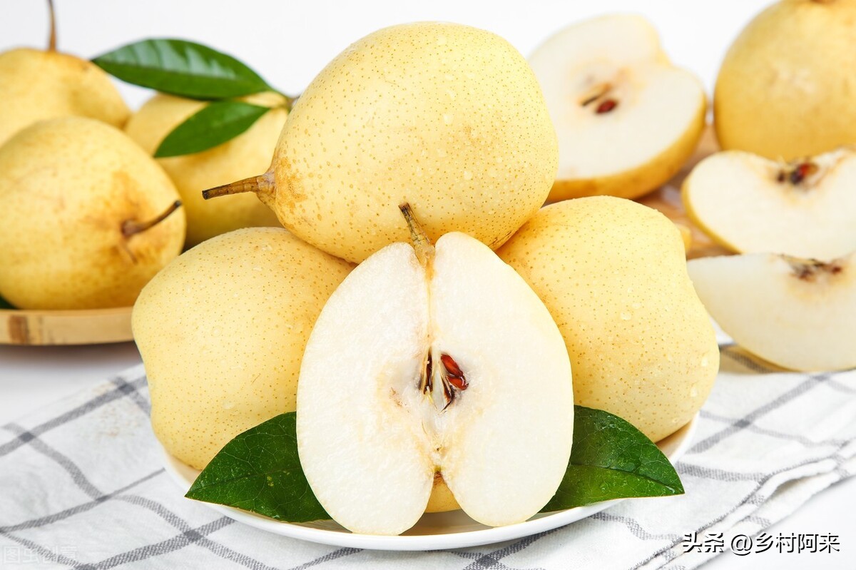 梨农村品种,农村最常见的梨子品种