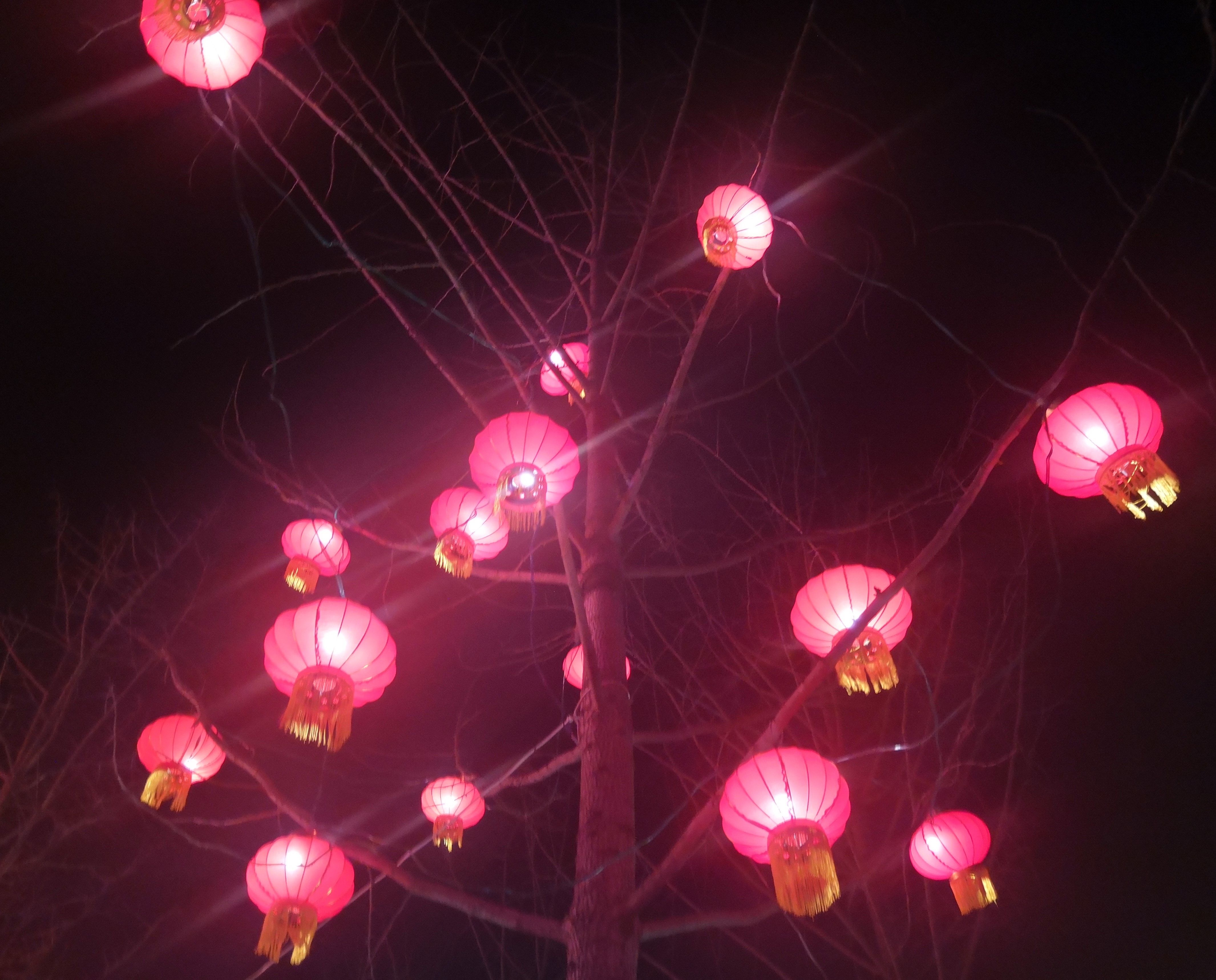 月圆人团圆情浓意深远的句子,月圆人团圆诗二首