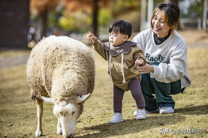 关西六甲山牧场在哪里,六甲山牧场门票多少钱