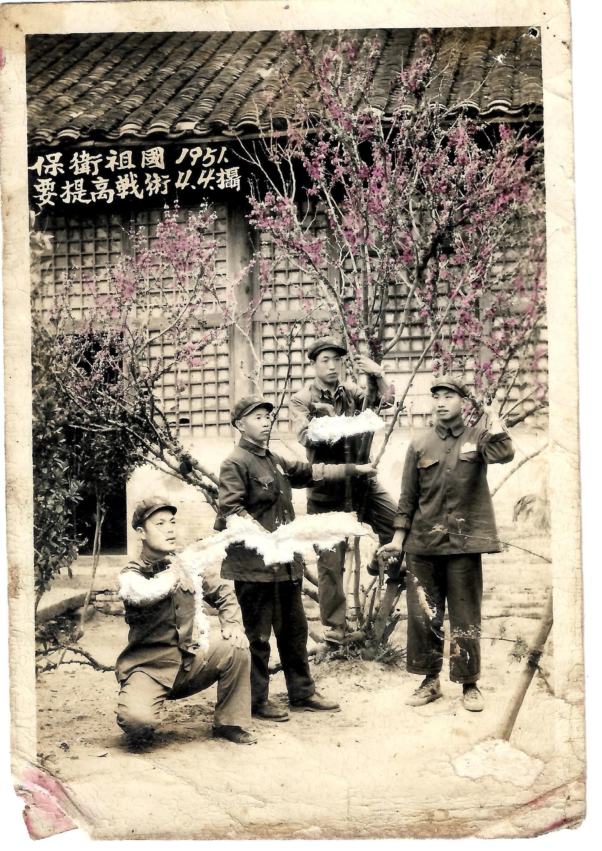 父辈的荣耀2青春版,追忆父亲的电视剧