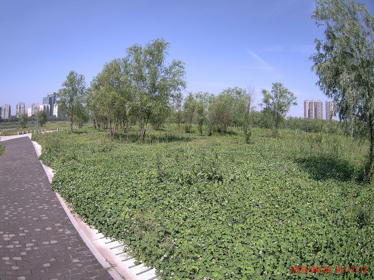 2023年最火的运动相机推荐,2023年运动相机选哪款