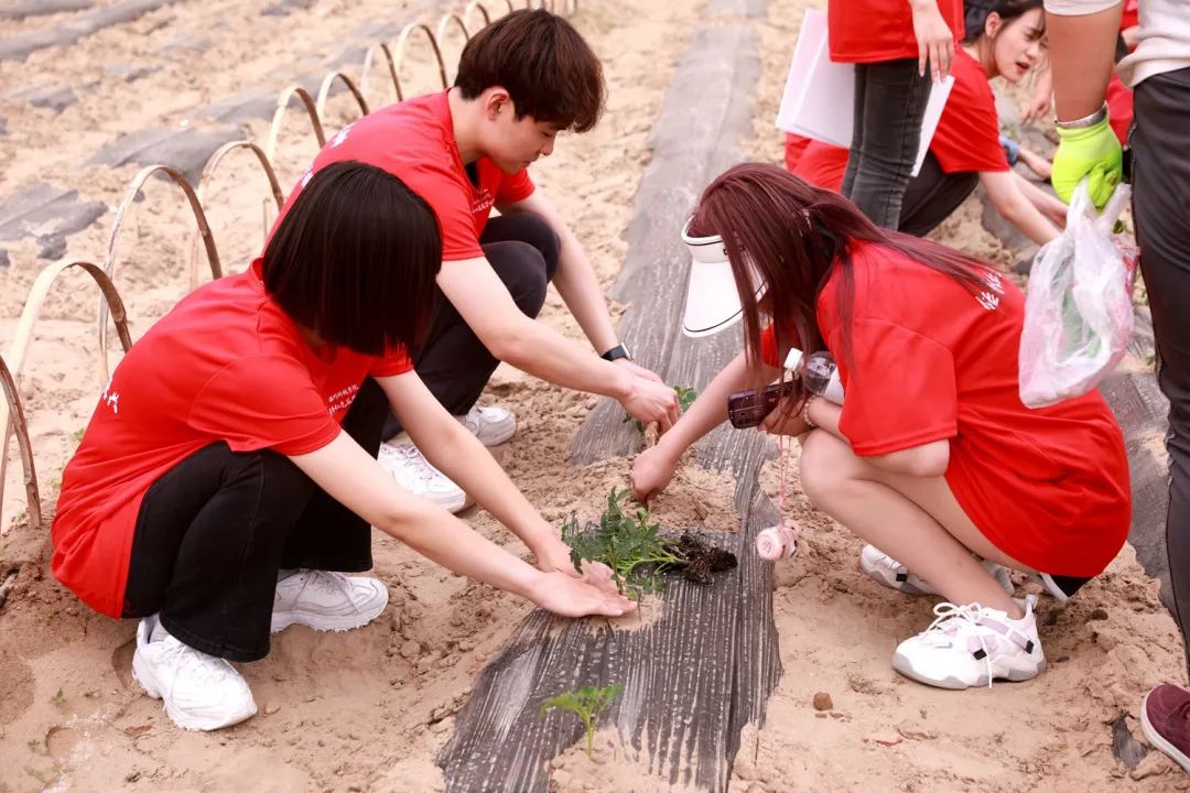 银川科技学院2021征集志愿三次,银川科技学院2023年征集志愿