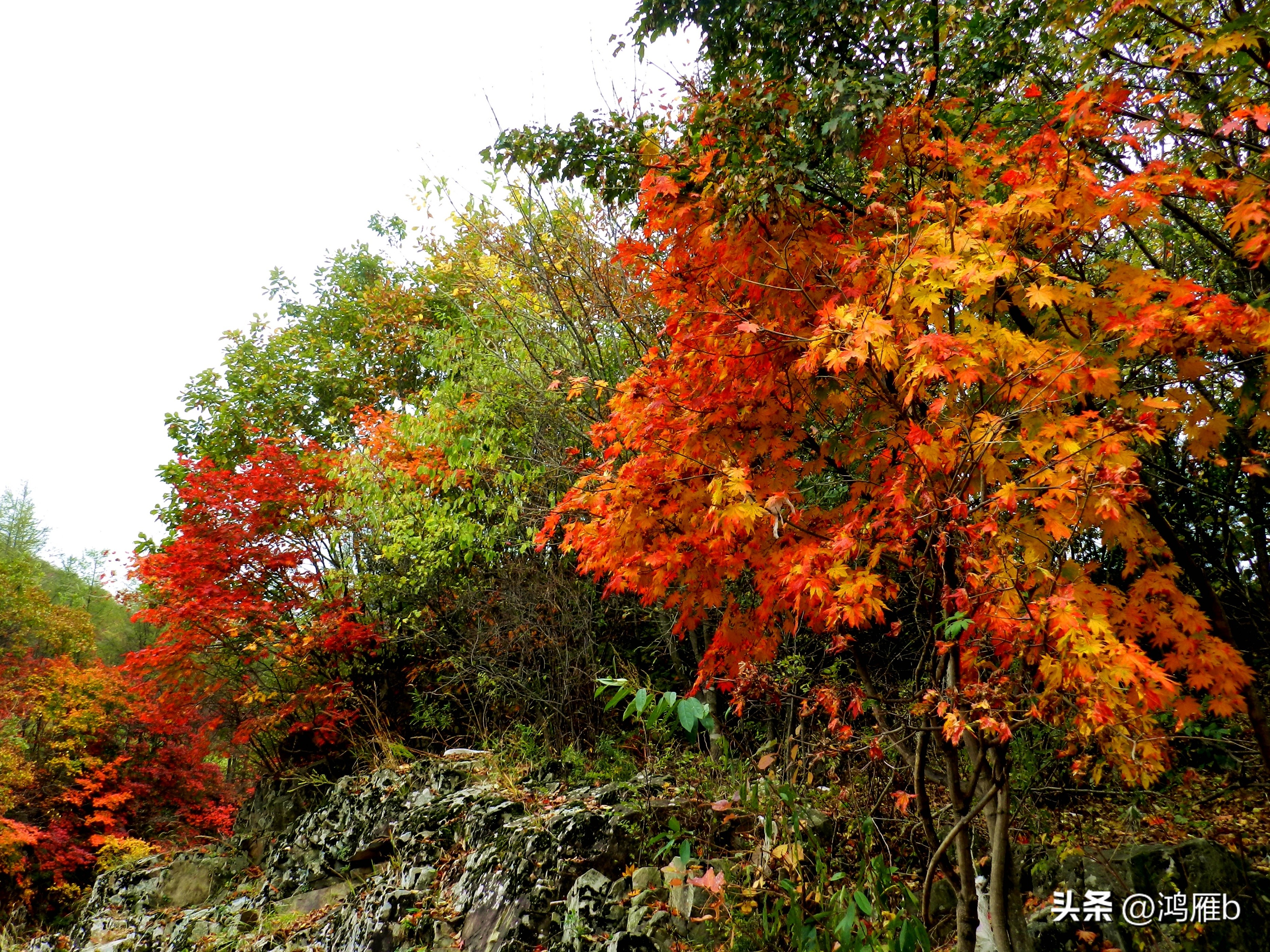 本溪温泉汤沟门票价格,本溪花溪沐枫雪温泉小镇