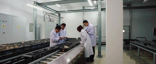 2022中国石油高校毕业生招聘公告,中国石油2021年高校毕业生招工