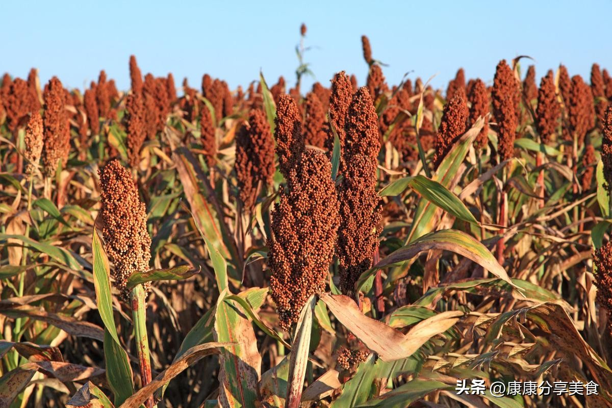 假酒大全看到这些酒千万不要买,假酒爆料大全