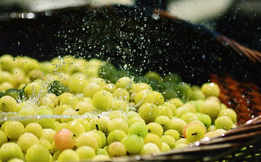 五月初夏诗词唯美,暮春初夏的唯美诗词