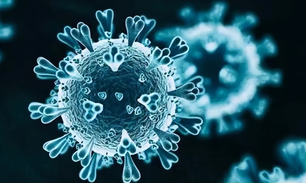 世界杯奥密克戎,奥密克戎杯8强