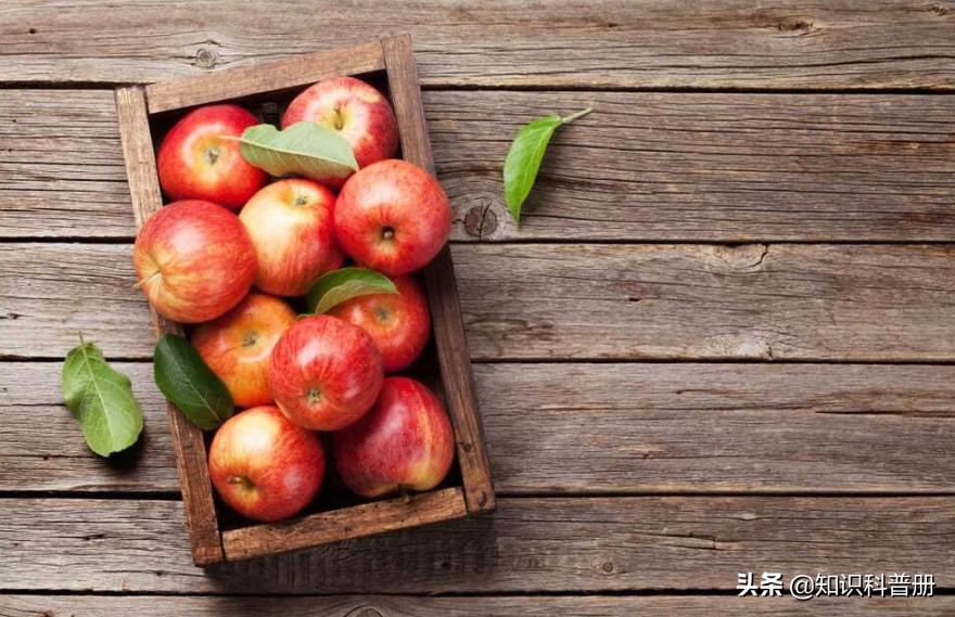 20种食物可以降低患癌症的风险