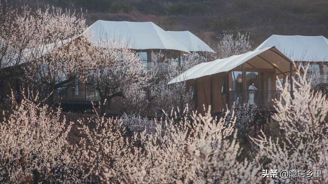 浪漫婚礼风民宿,很火的民宿婚礼