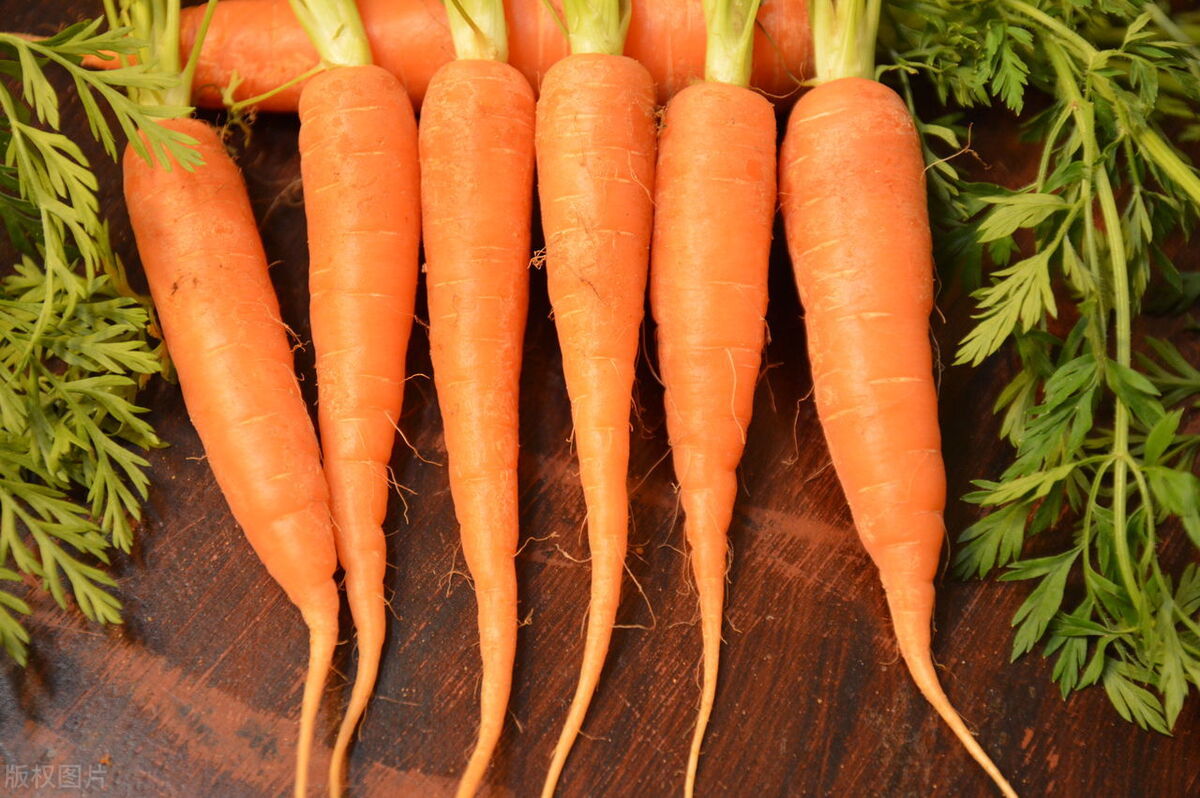 铲屎官可以吃猫草吗,铲屎官喂什么都吃