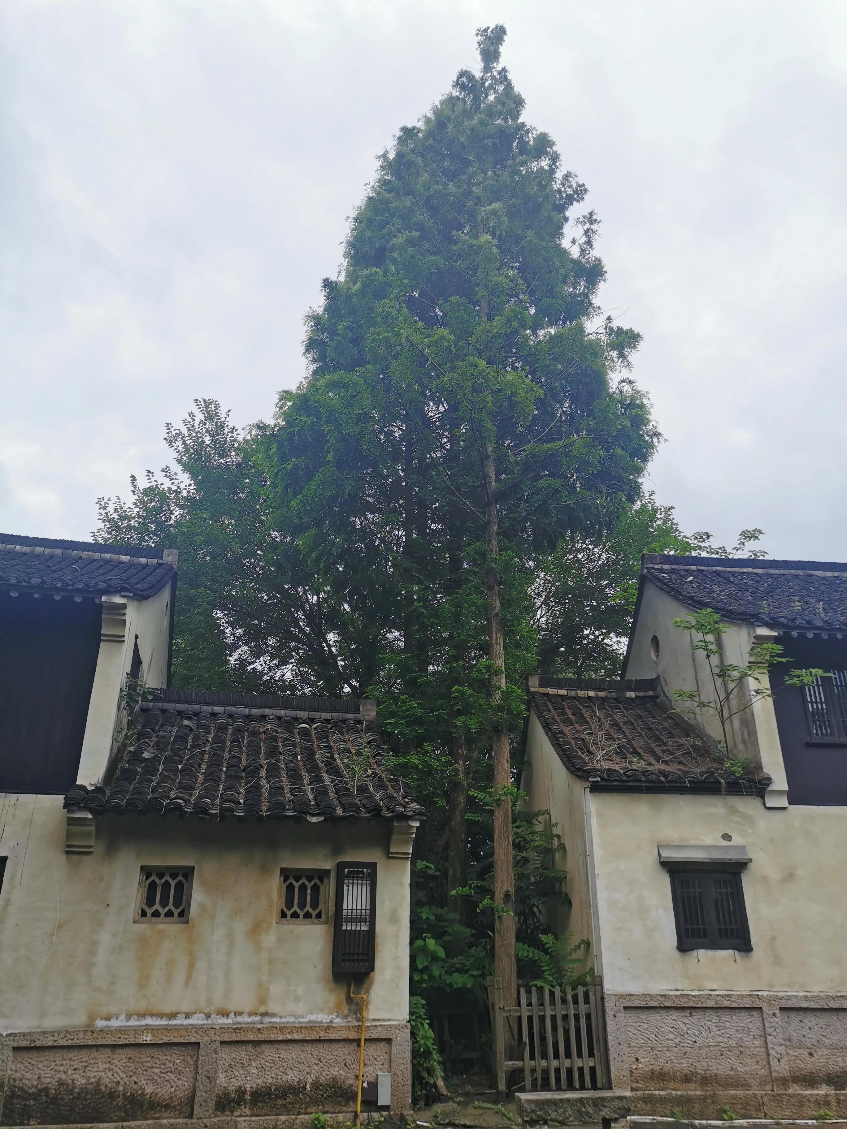 绍兴十大顶级酒店,绍兴值得推荐的酒店