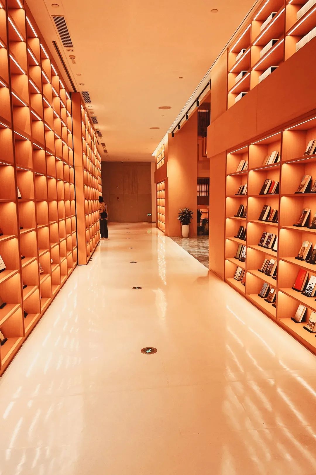 灏忓竷鎽勫奖鍥㈤槦,灏忓竷鎽勫奖