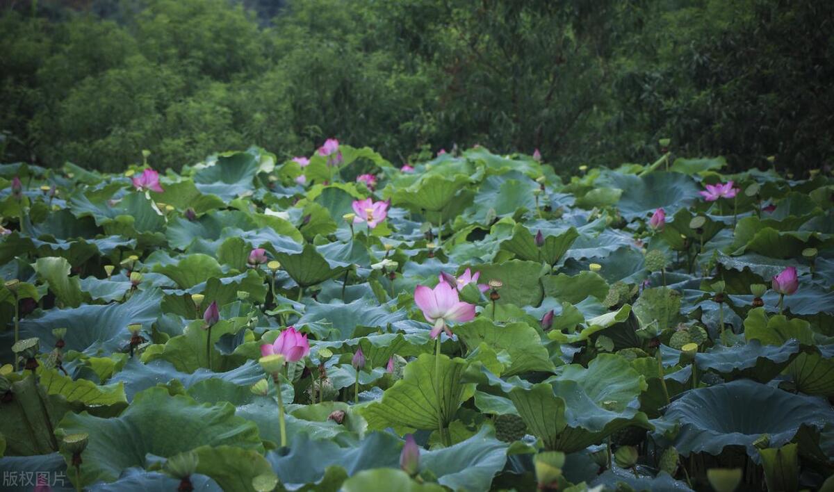好书推荐《私密》：我供我哥上大学，他却抢了我的女人