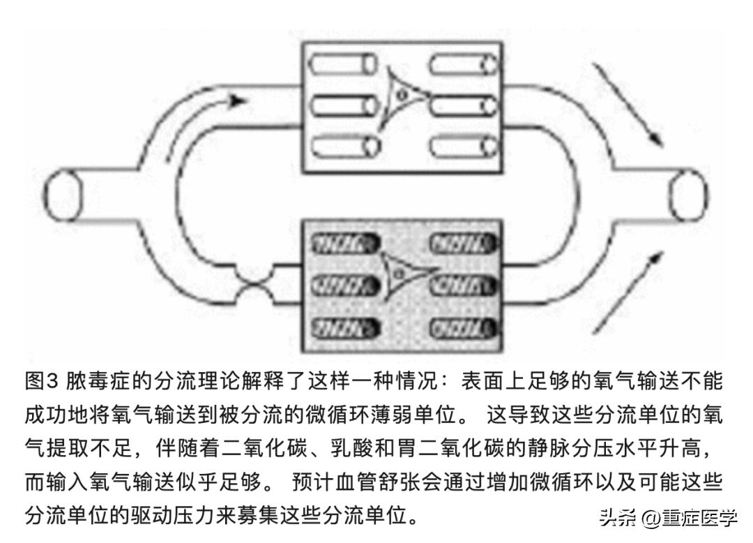 脓毒血症属于哪个系统疾病,脓毒症的快速识别