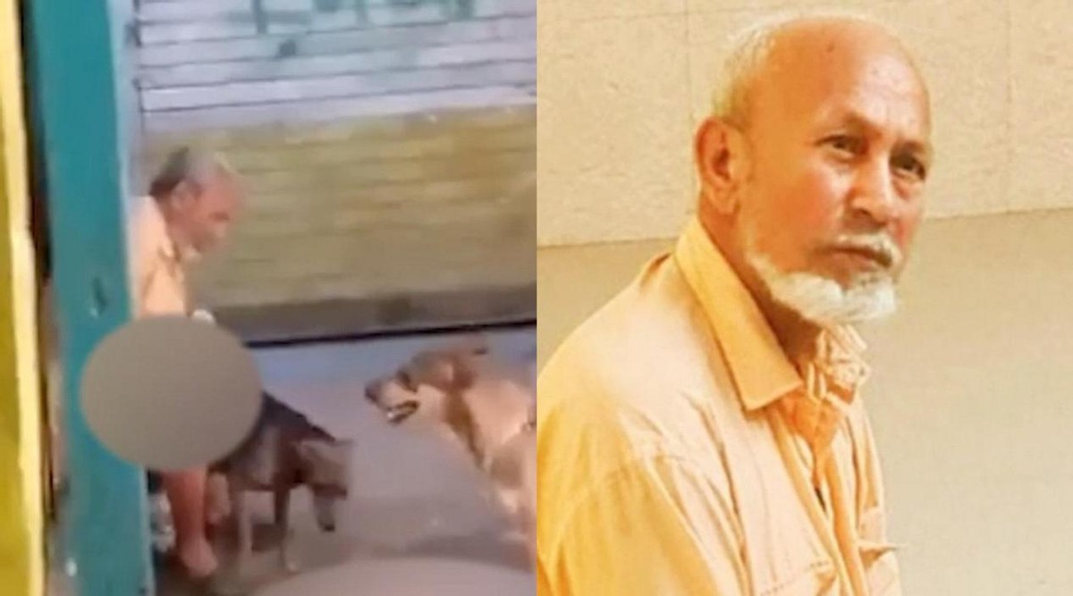 印度男子强奸母牛,3人在旁协助,拍下全程传网上,致5000人*行游**