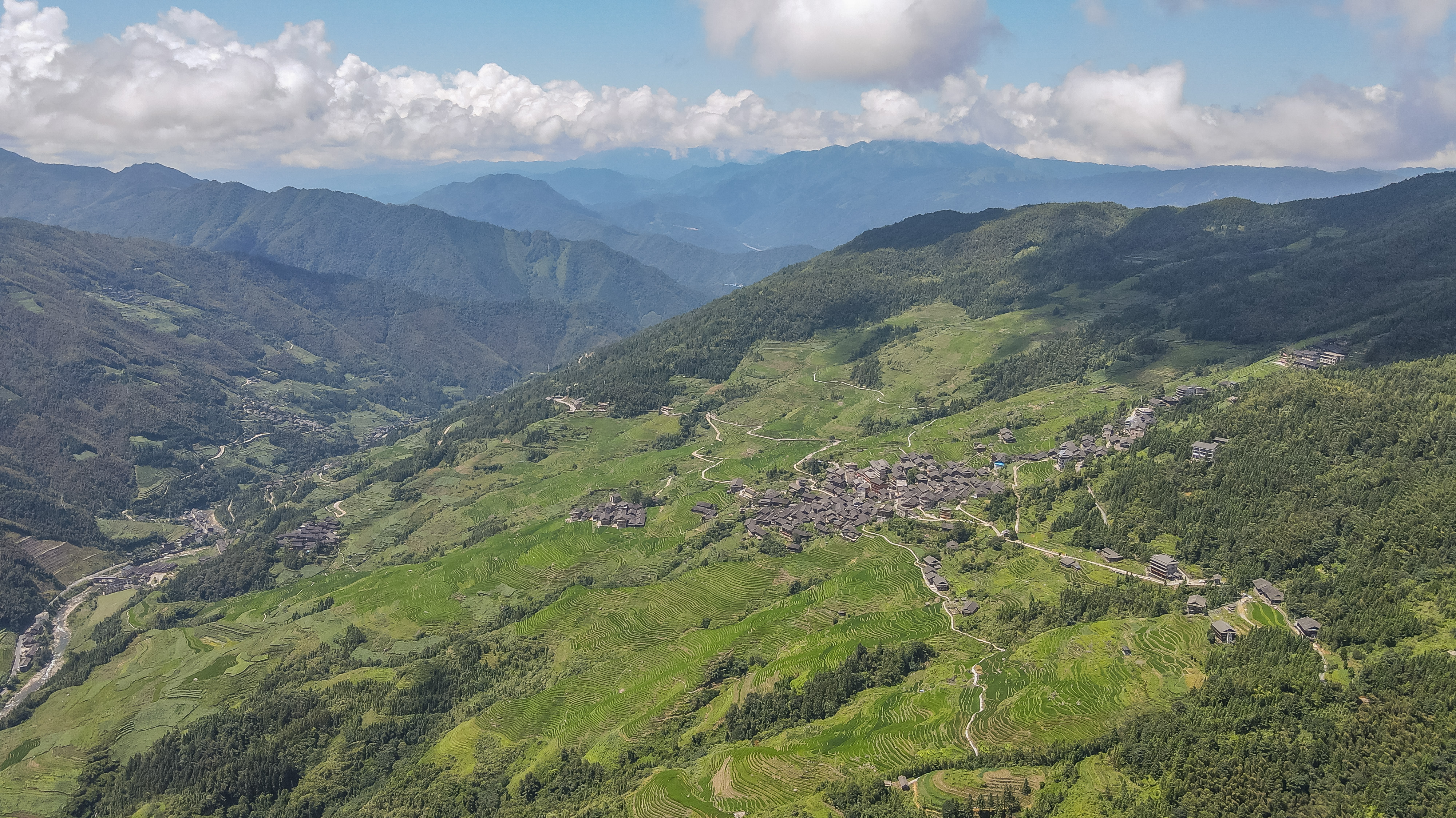 龙脊水稻梯田图片,龙脊水稻