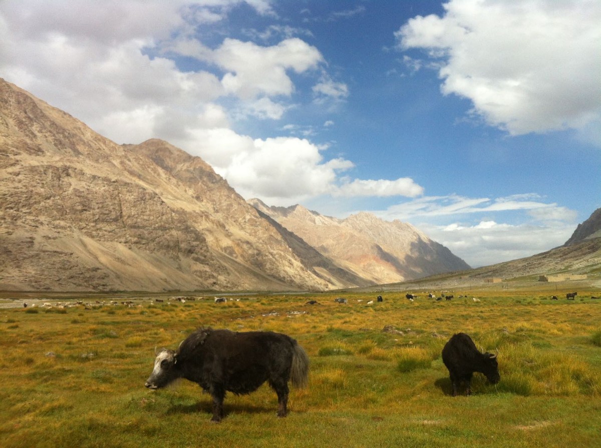 中国最短国界线,中国边境线最短的省份
