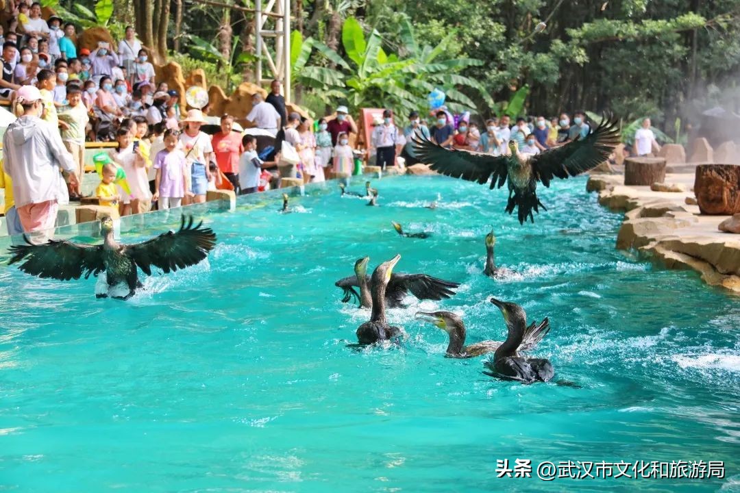 端午节私藏版游玩攻略,蔡甸2021年1月游玩攻略