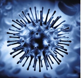 苏教版五年级科学刺激与反应ppt,2022苏教版五年级科学下册复习题