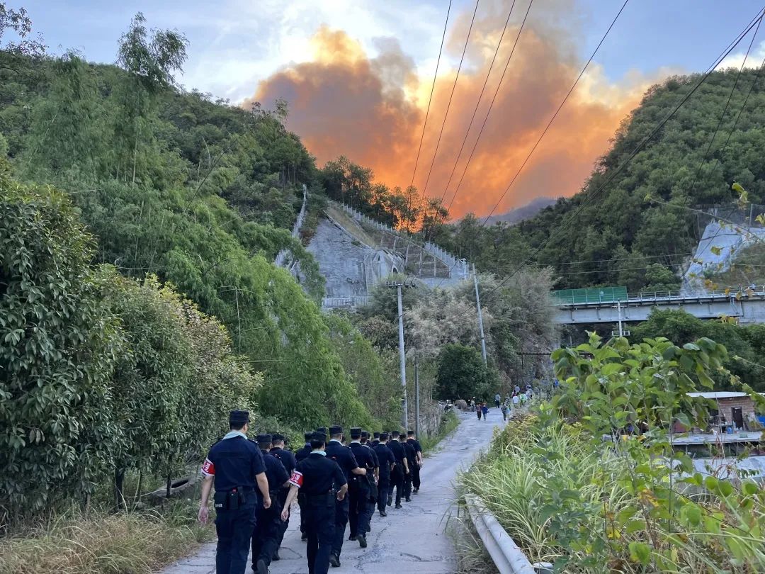 全国两红两优直播回放,全国共青团两红两优