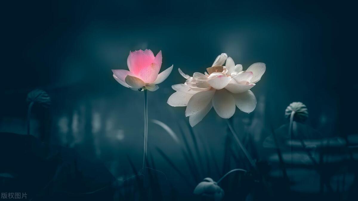 小学英语教师师德师风工作总结,教师师德师风工作总结