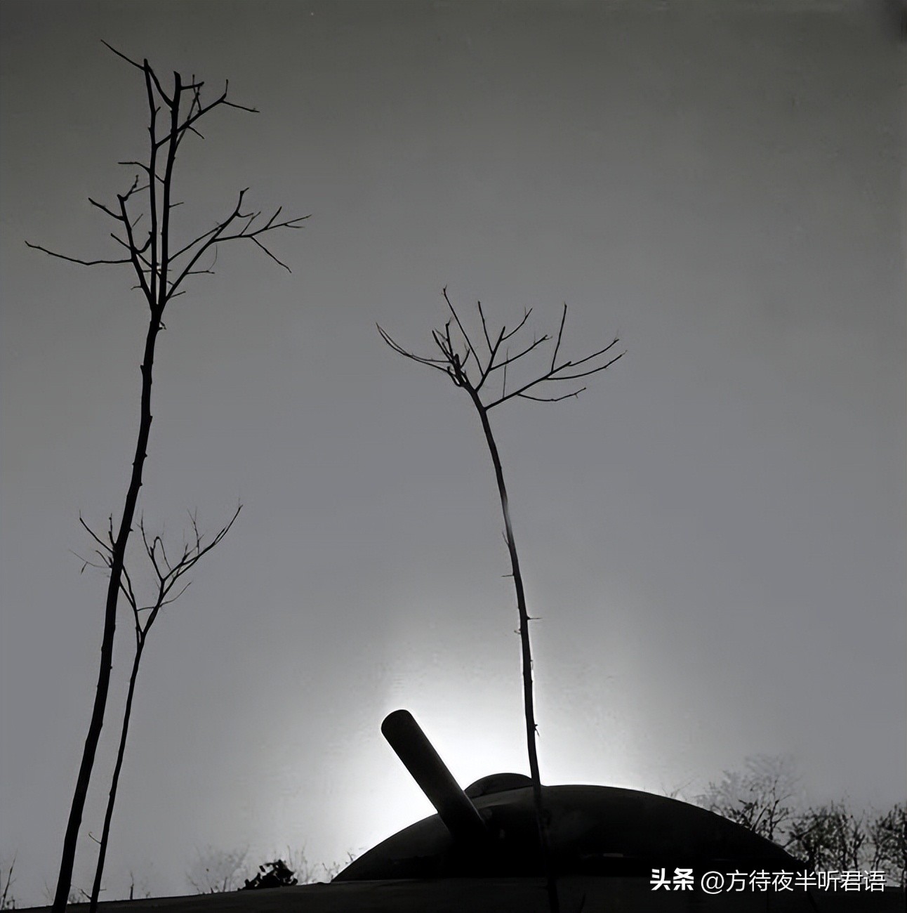 殊异之城：金石声穿过岁月的青岛留影