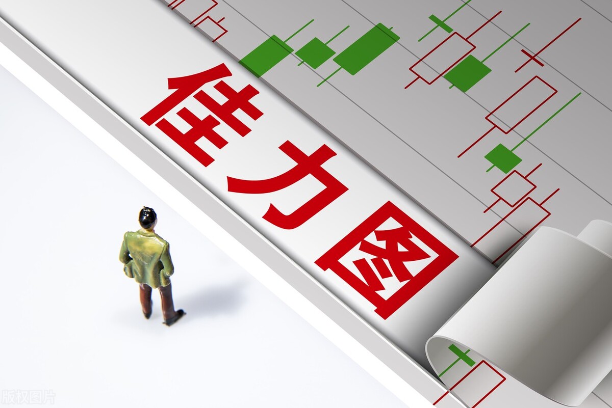 a股真正的专精特新龙头仅有10家,中国股市炒股龙头公司排名