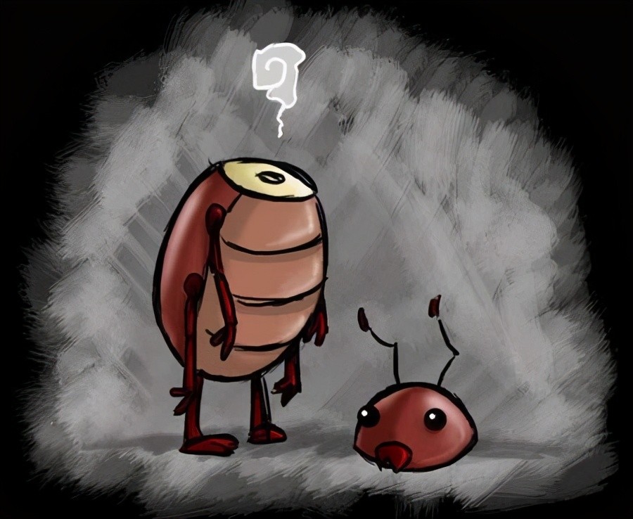 杀虫剂杀得了蟑螂吗,家里的蟑螂用杀虫剂都杀不死