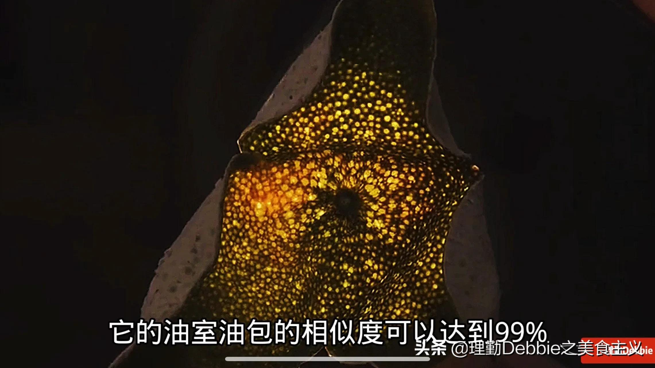 橘子皮里面可以蒸什么东西好吃,完整橘子皮可以蒸什么