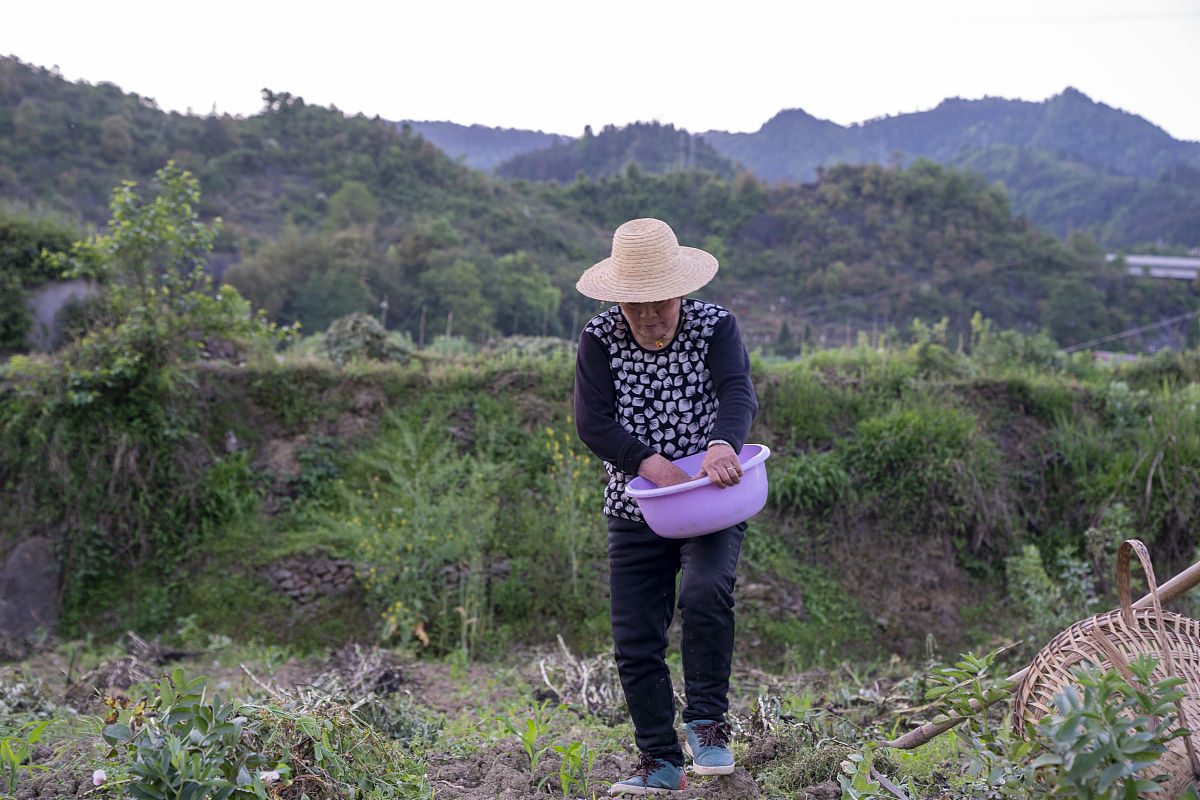 其实并不是放不下只是不想留遗憾,人生最遗憾的事情