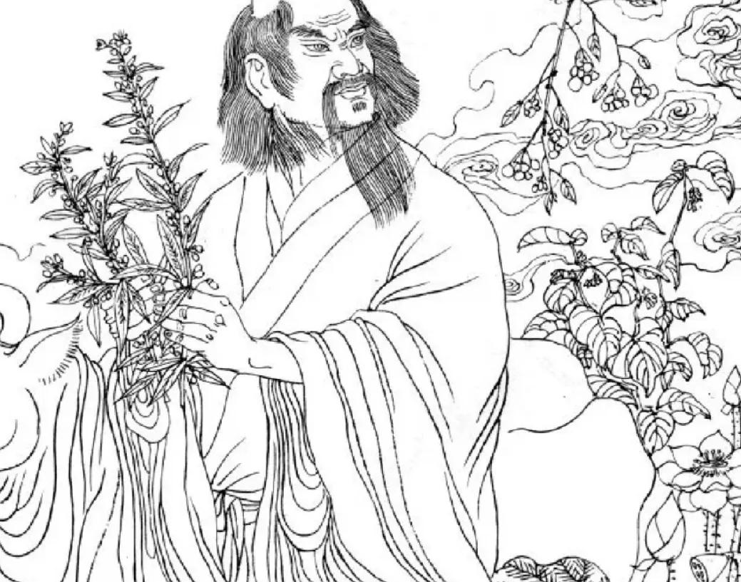 原始人钻木取火的真实影像,原始人钻木取火怎么画