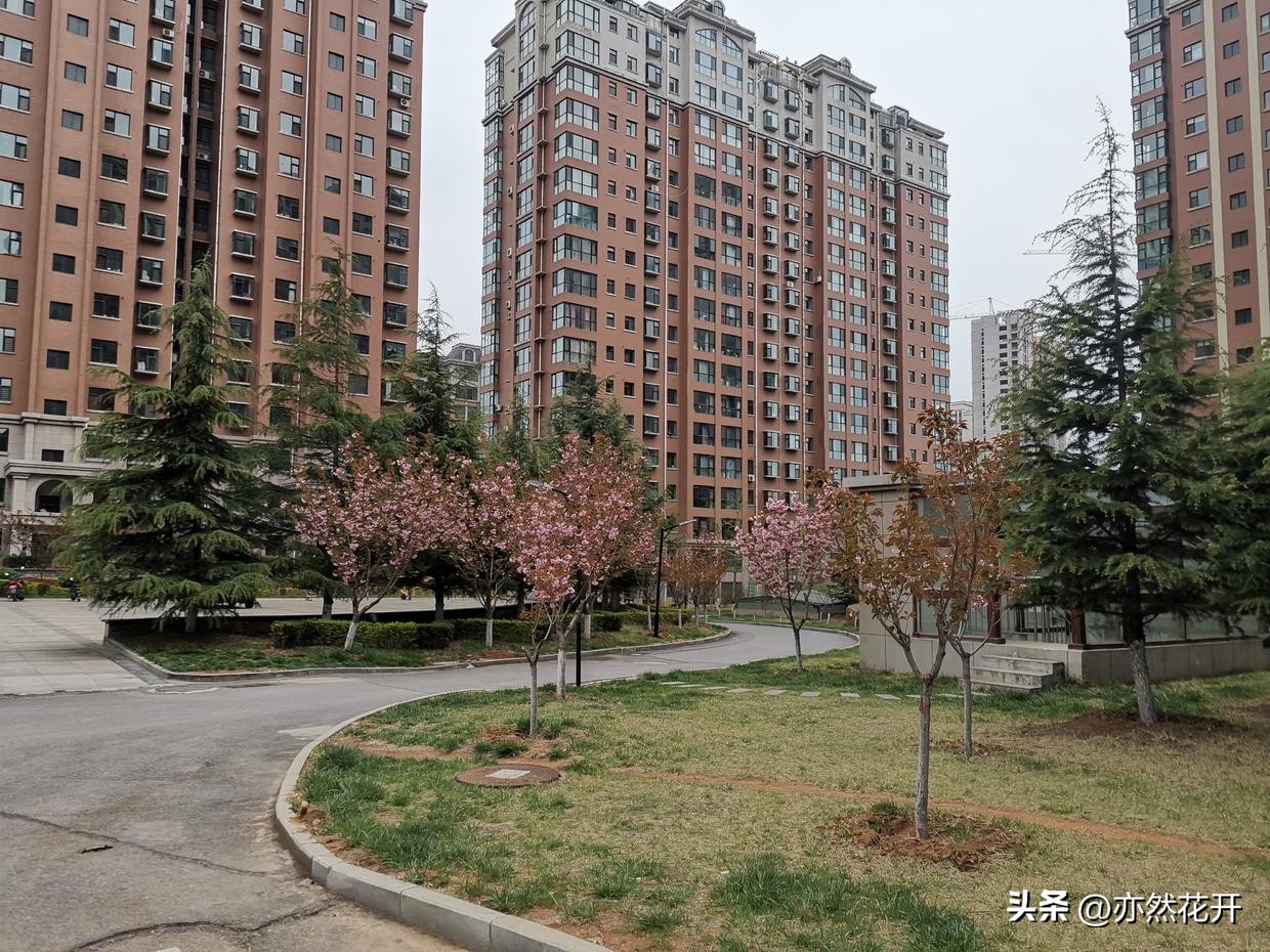 公文中的申请如何写,职场写申请邮件怎么写