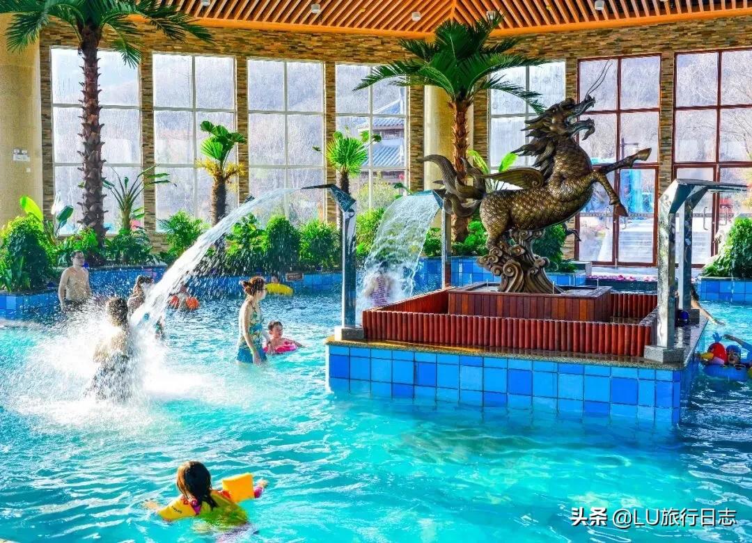 夏至|蝉鸣惊半夏，乐园极地纳清凉