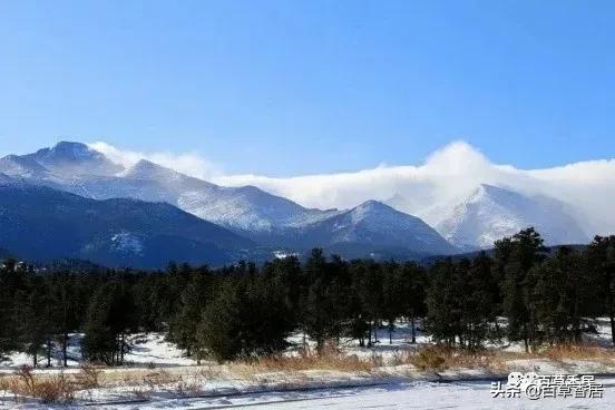 五月花朱志刚,五月花东星斑