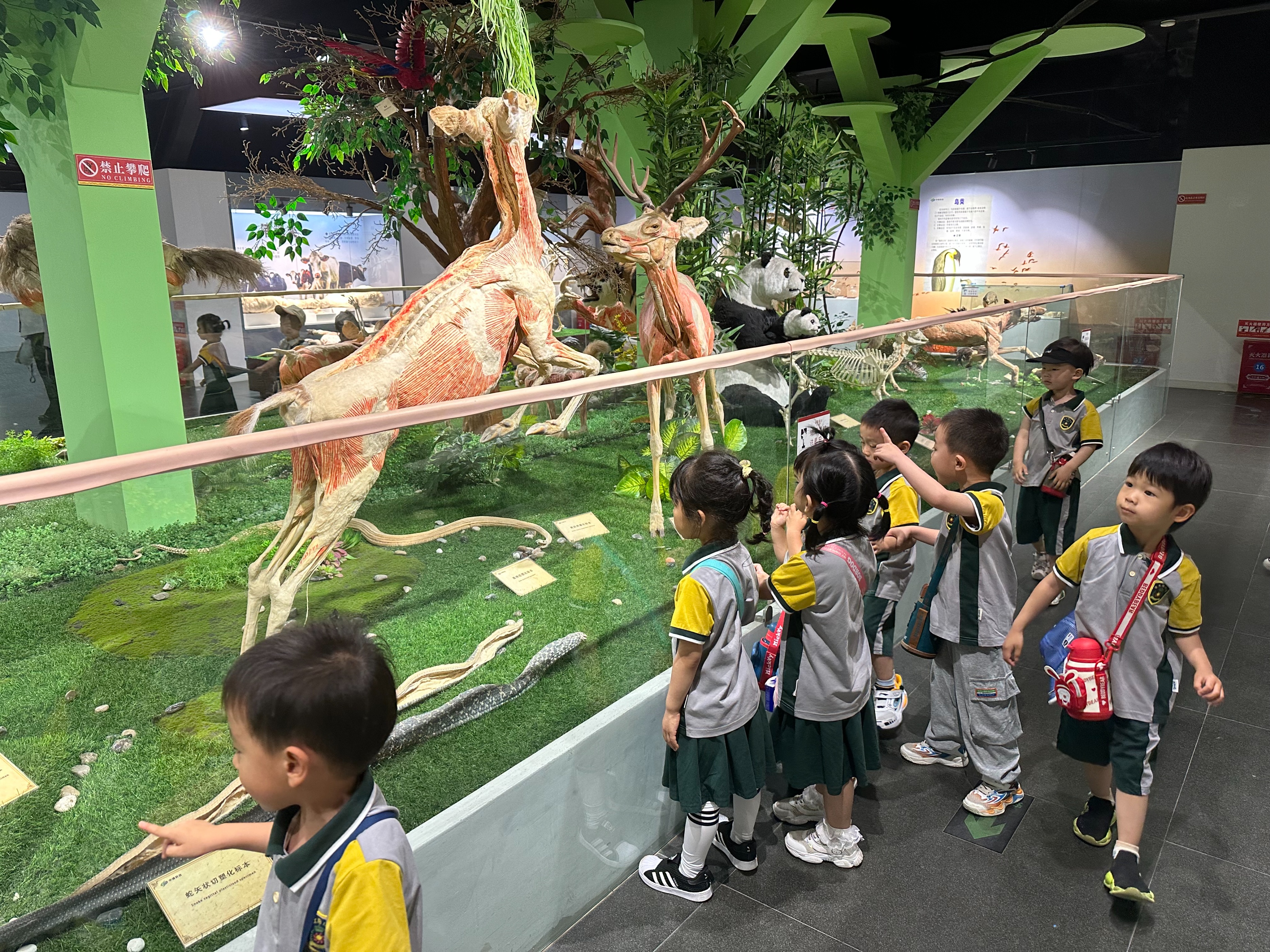 郑州亲子游的好去处室内有水,郑州适合亲子玩水的地方