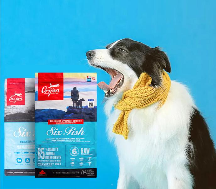 狗狗吃什么牌子的狗粮最好,狗狗吃什么牌子的狗粮比较好