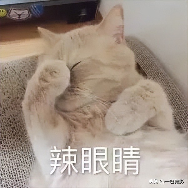 找女朋友的幽默搞笑段子,别人找对象的搞笑段子