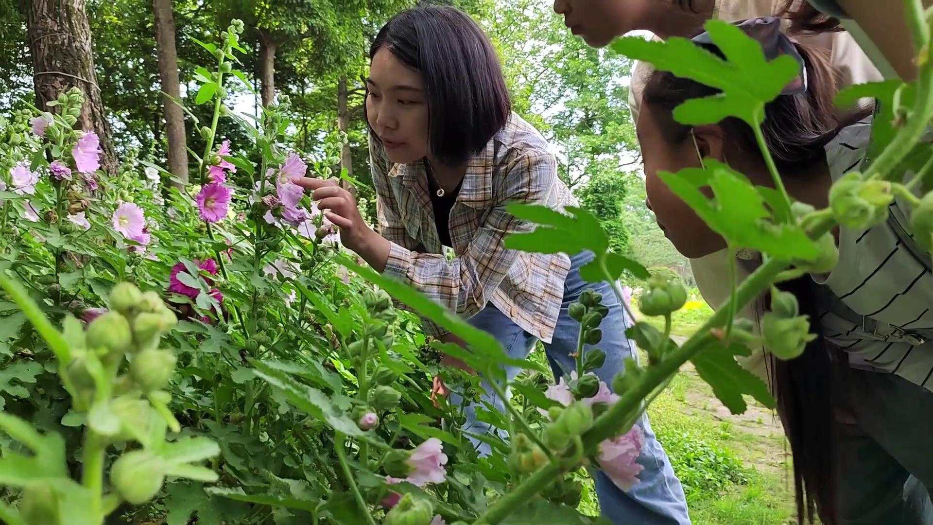 制作标本、植物拓染、望远镜观鸟2022成植生物多样性自然嘉年华