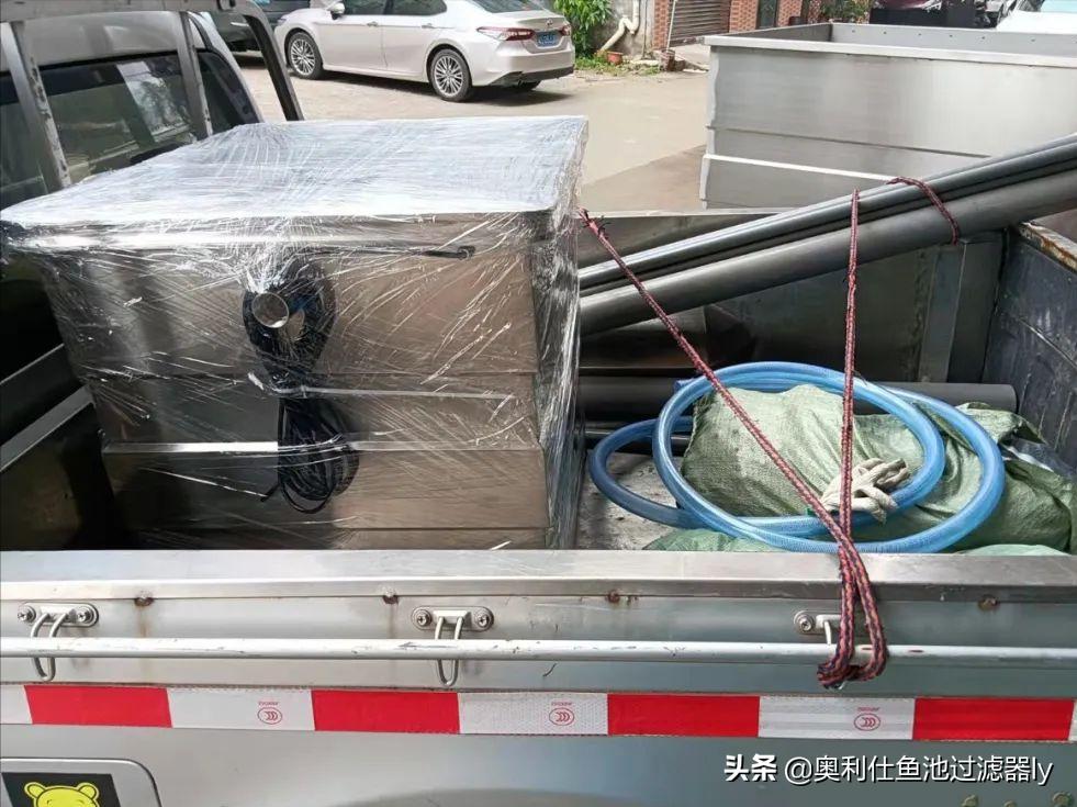 锦鲤鱼池智能水净化系统,南通锦鲤鱼池水净化