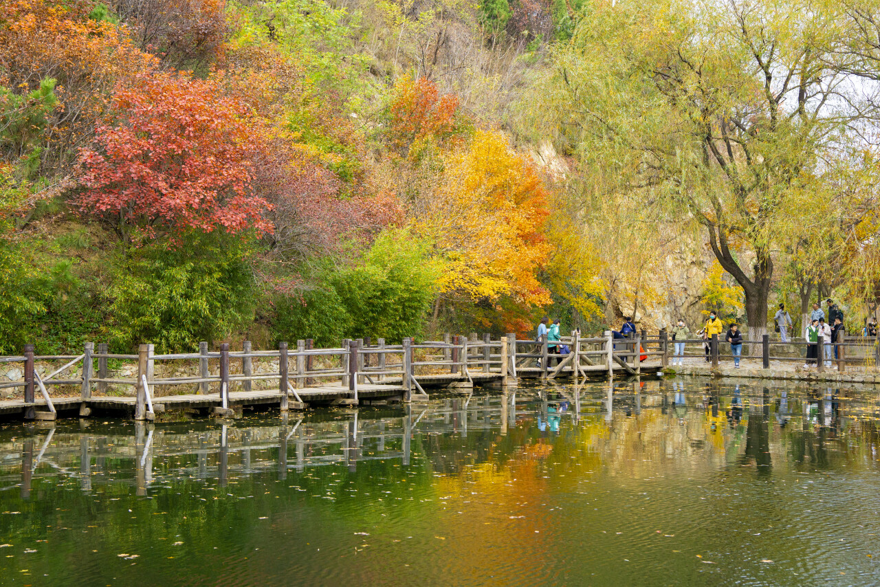 济南赏秋,秋天济南去哪里赏秋最好