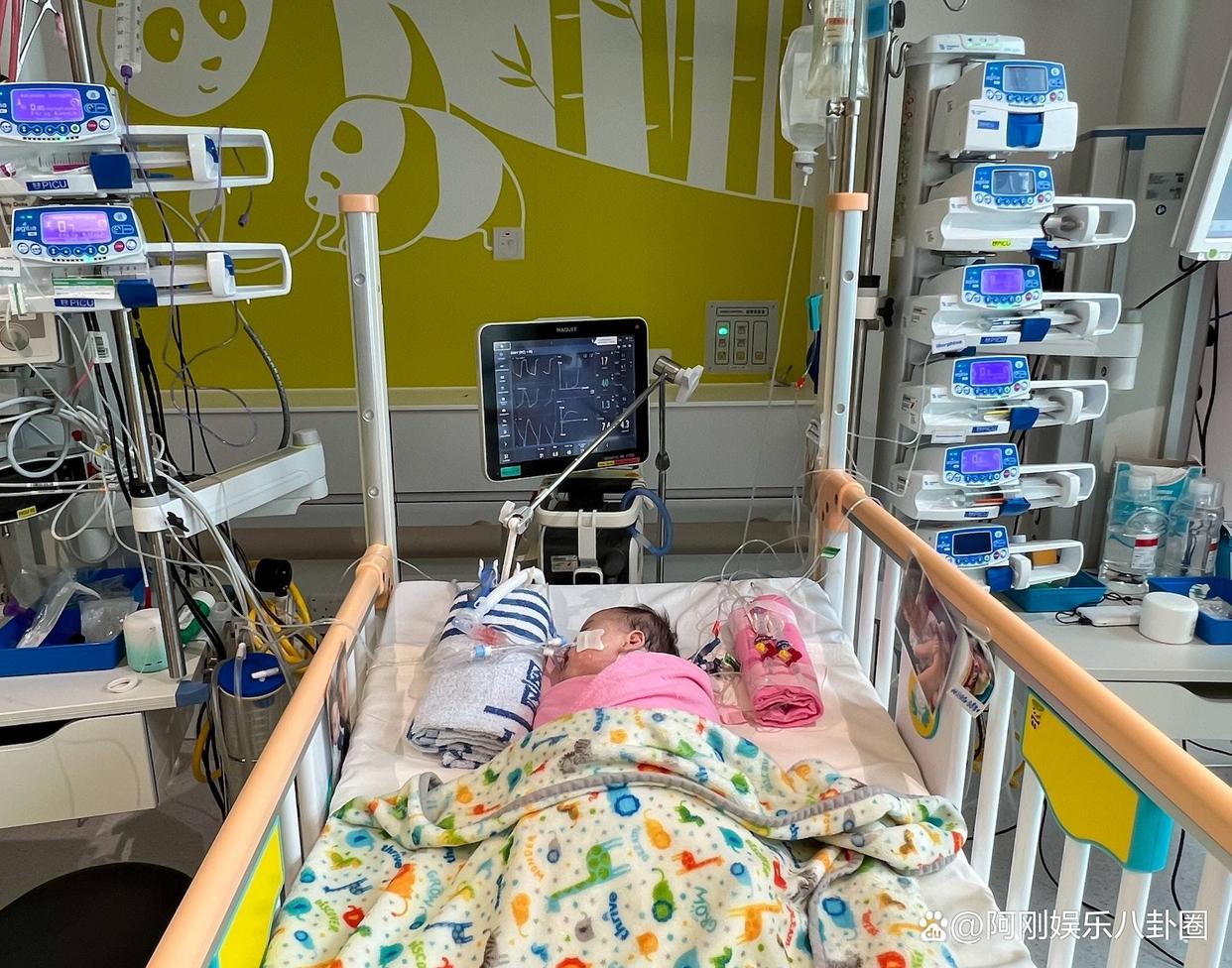 香港女婴心脏移植 (香港首例器官移植)