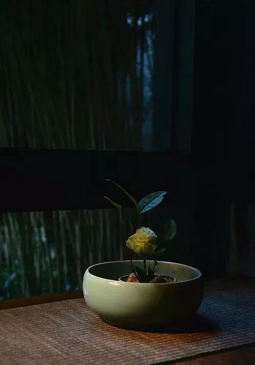 在自己的时光里做最好的自己散文,在最美的时光里做最好的自己散文