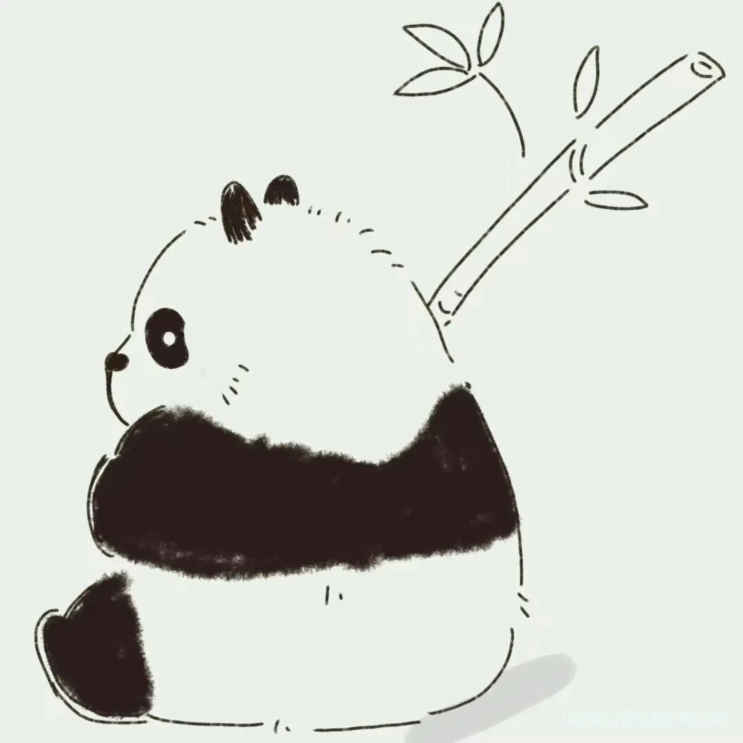 北京景山学校曹妃甸分校体育组,北京景山学校曹妃甸分校2018