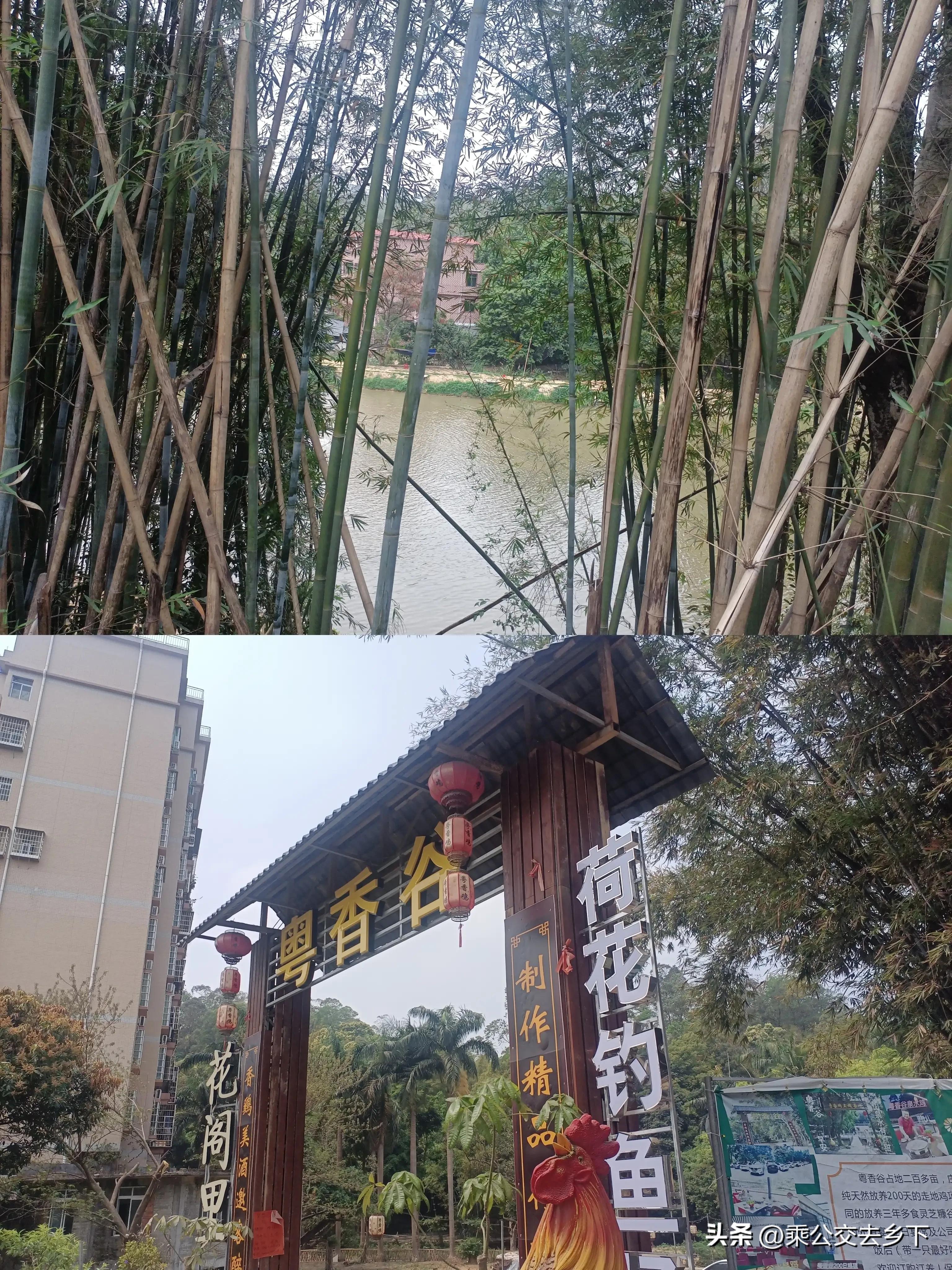 穗丰村-一所学校带来的繁荣