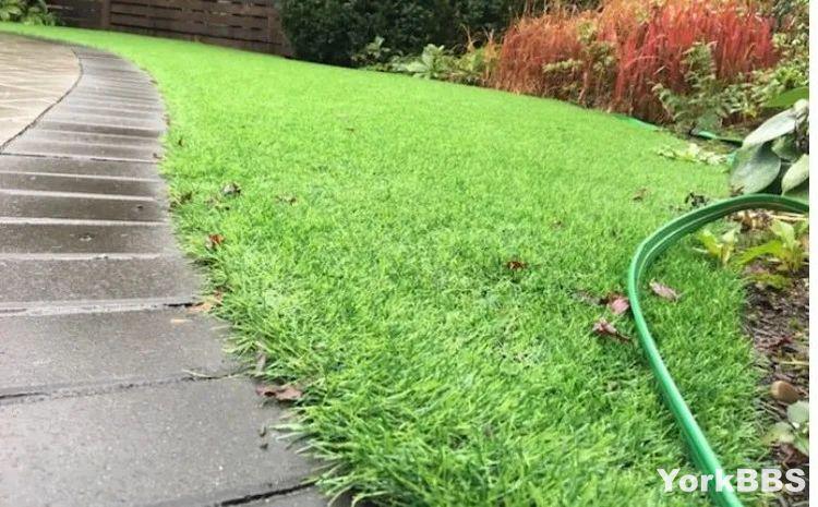 加拿大匪夷所思的规定,加拿大奇葩规定