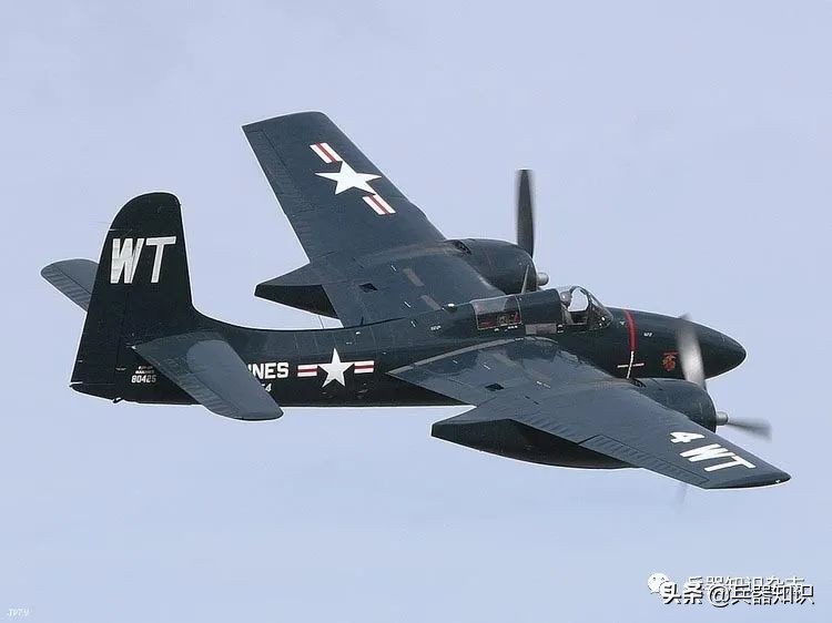 飞天的猫,飞天的猫和鱼