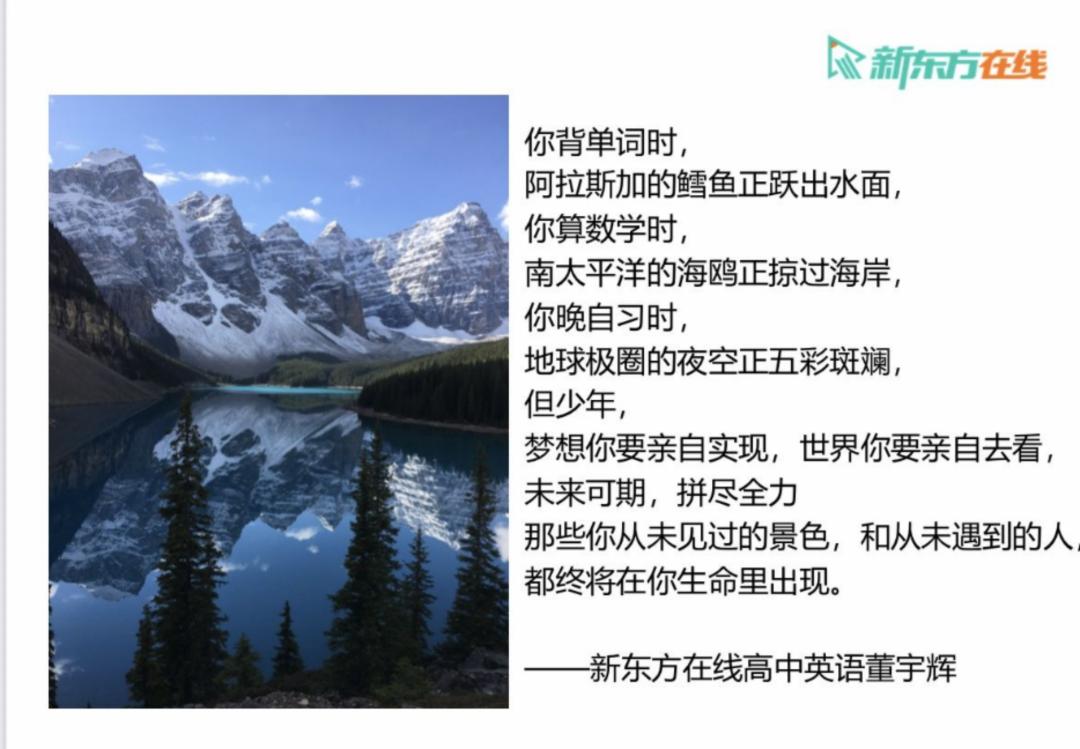 新东方双语为什么这么火,新东方双语走红说明了什么