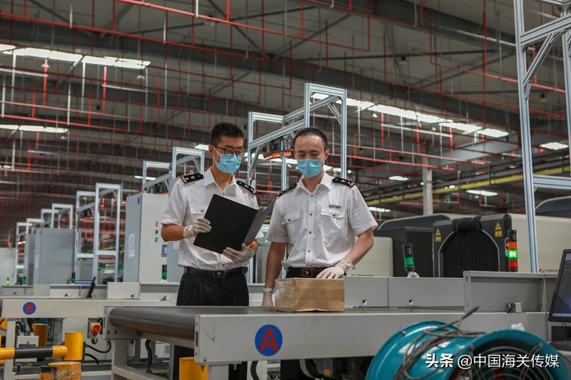 海关入境查验科普,海关科普类视频