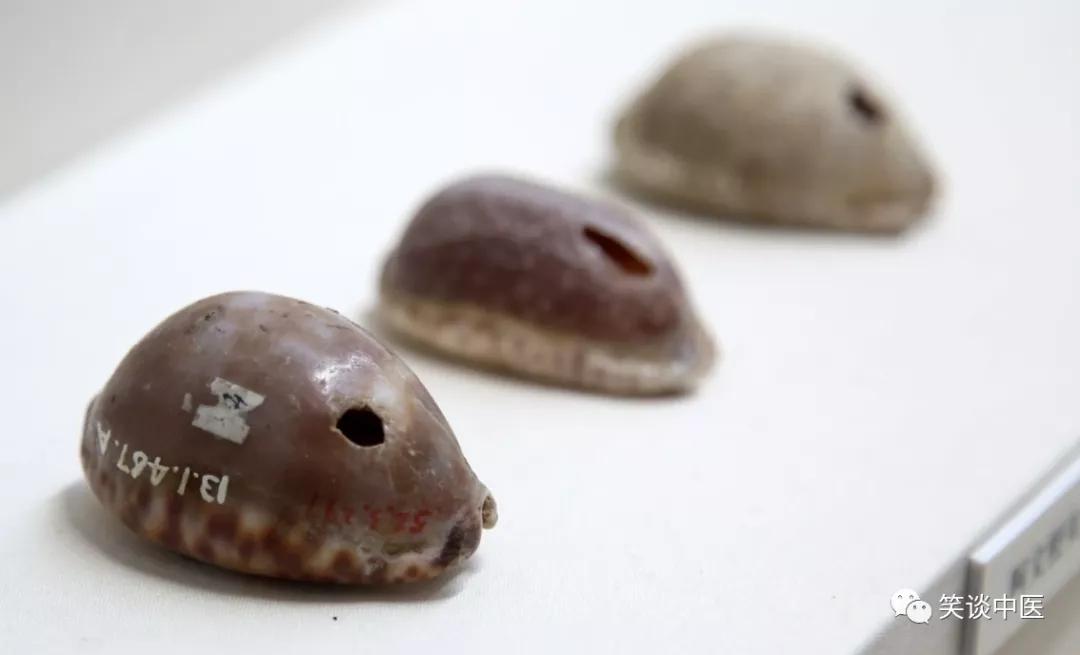 高血压要药：中药紫贝齿，曾比黄金值钱！缅怀杨大绮先生