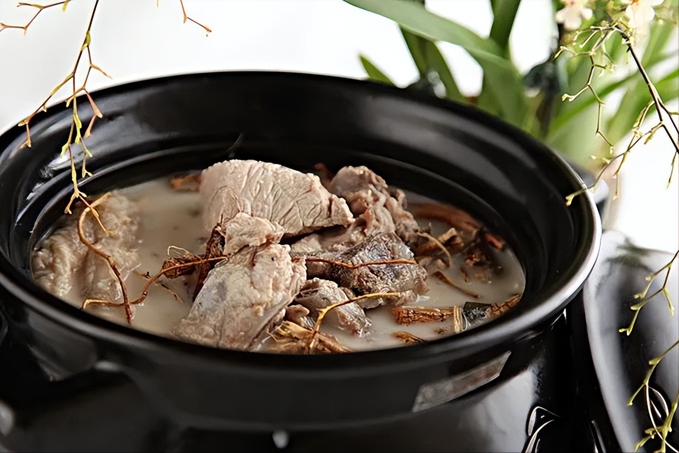 调理肠胃健脾汤,健脾胃去肝火煲什么汤